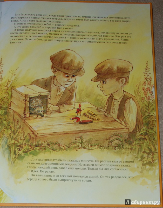 Иллюстрация 37 из 38 для В погоне за шляпой - Свен Нурдквист | Лабиринт - книги. Источник: Книжный кот