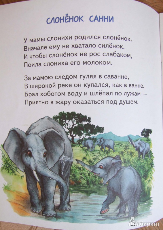 Иллюстрация 2 из 18 для Слонёнок Санни - Владимир Борисов | Лабиринт - книги. Источник: Чучелова  Ольга Викторовна