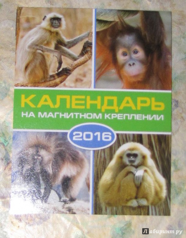 Иллюстрация 2 из 8 для Календарь на 2016 год. СИМВОЛ ГОДА 2 (на магните) (39584-36) | Лабиринт - сувениры. Источник: V  Marisha