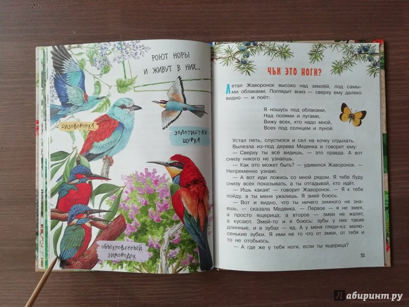 Иллюстрация 36 из 71 для Лесные домишки - Виталий Бианки | Лабиринт - книги. Источник: Гошева  Елена