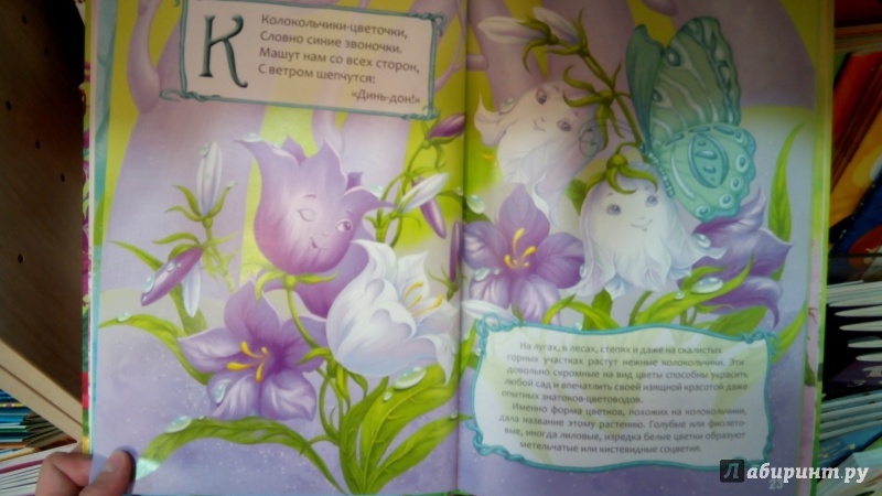 Иллюстрация 29 из 31 для Цветочная Азбука - Любовь Яковенко | Лабиринт - книги. Источник: Мила