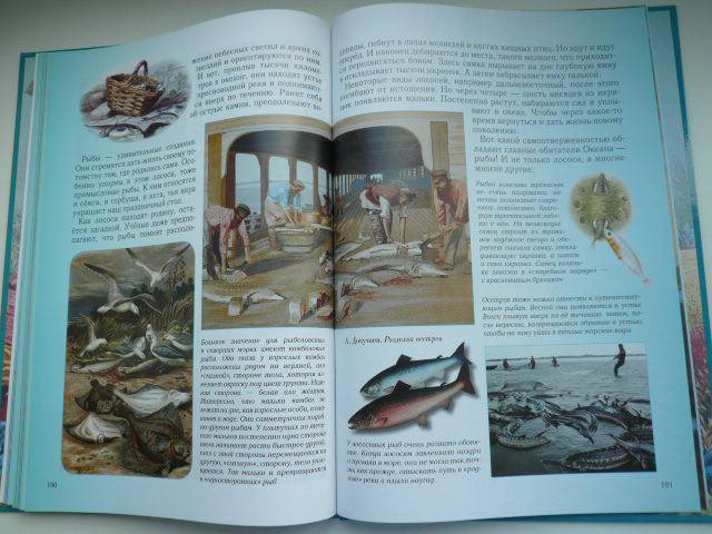 Иллюстрация 34 из 45 для Мир Океана - Сергей Махотин | Лабиринт - книги. Источник: Nadezhda_S