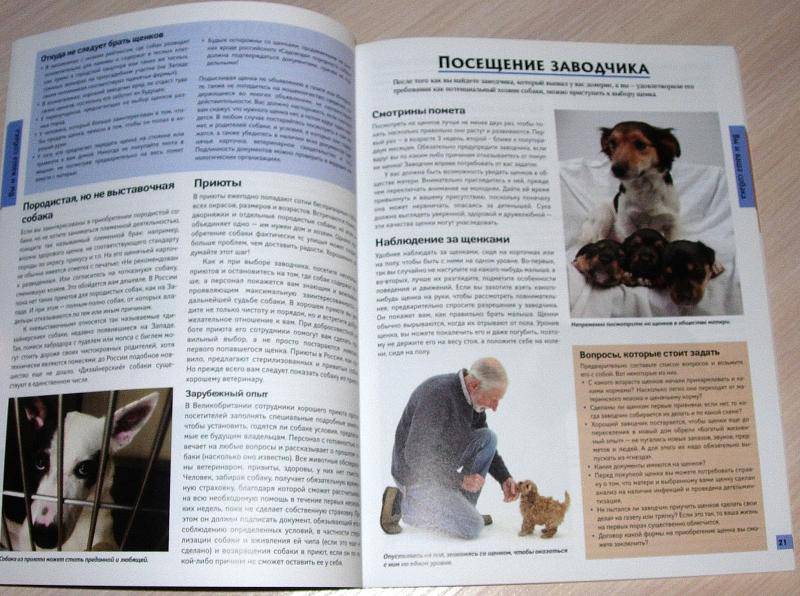Иллюстрация 8 из 25 для Все о собаках - Карен Буш | Лабиринт - книги. Источник: Rocio