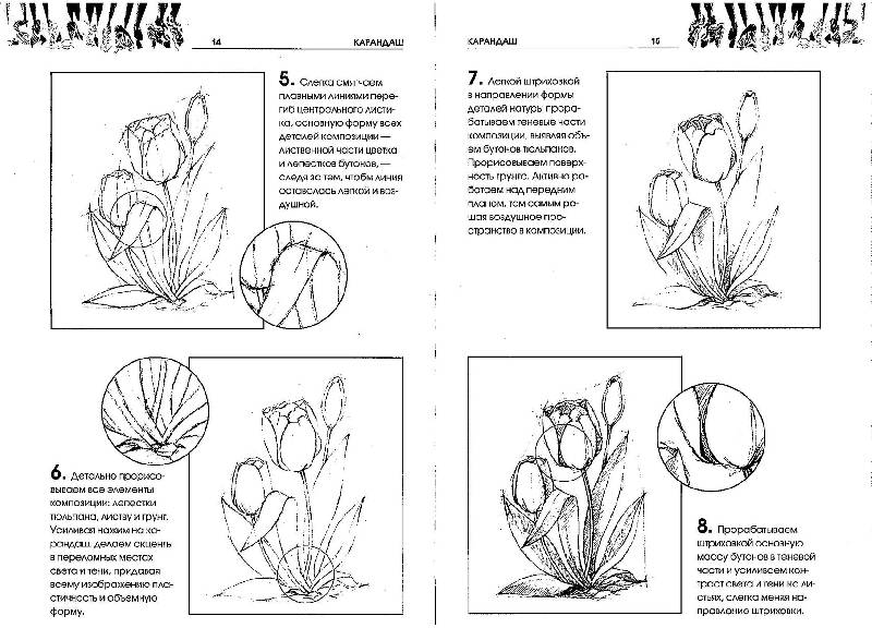Иллюстрация 15 из 16 для Рисуем растения - Валентина Пенова | Лабиринт - книги. Источник: GallaL
