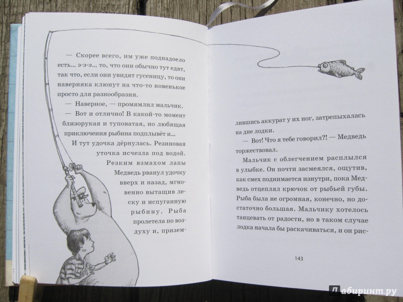Иллюстрация 34 из 40 для Мальчик и Медведь в лодке - Дейв Шелтон | Лабиринт - книги. Источник: Воробьев  Владимир