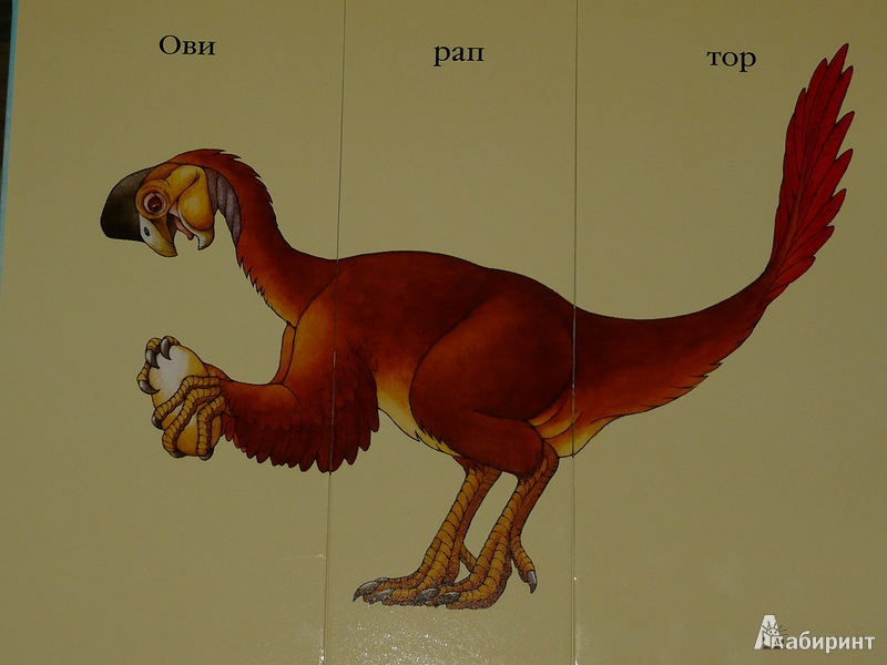 Иллюстрация 9 из 15 для 1000 динозавров. Придумай, создай, назови - Сара Балл | Лабиринт - книги. Источник: Ромашка:-)
