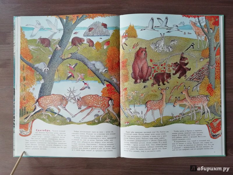 Иллюстрация 80 из 109 для В лесу - Петр Багин | Лабиринт - книги. Источник: Гошева  Елена