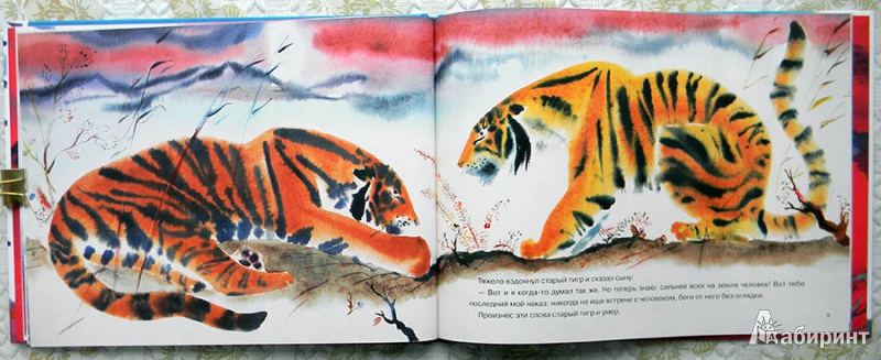 Иллюстрация 14 из 35 для Глупый тигр. Тибетская народная сказка | Лабиринт - книги. Источник: Раскова  Юлия