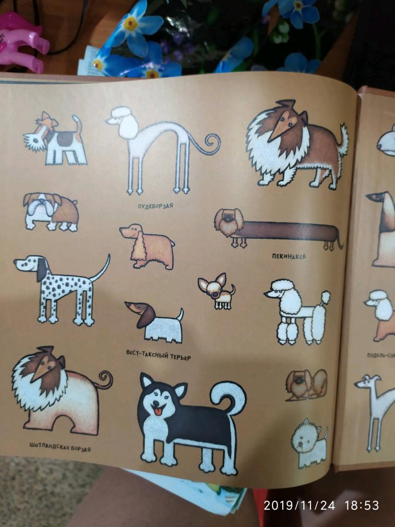 Иллюстрация 56 из 58 для Собачьи "почему" - Лила Прап | Лабиринт - книги. Источник: Kumaska