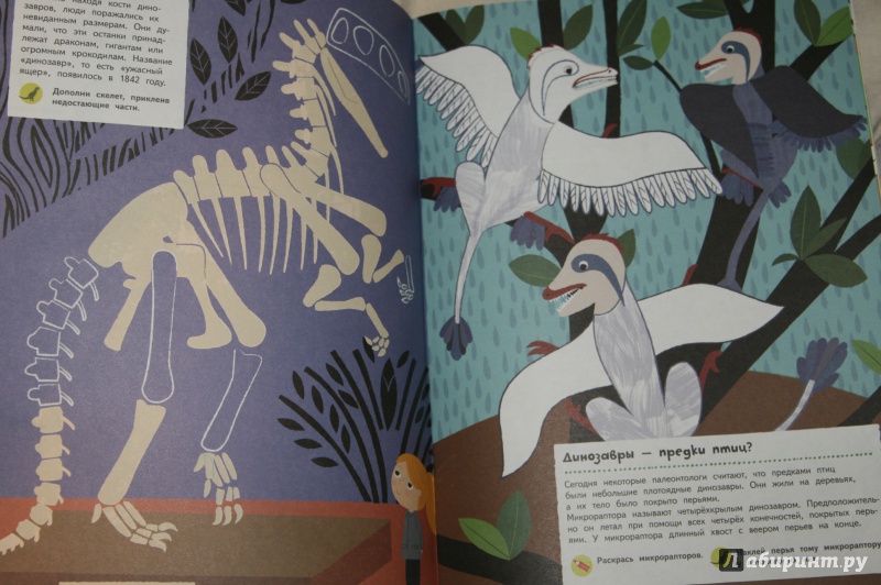 Иллюстрация 17 из 30 для Времена динозавров - Оливия Косно | Лабиринт - книги. Источник: Кабанова  Ксения Викторовна