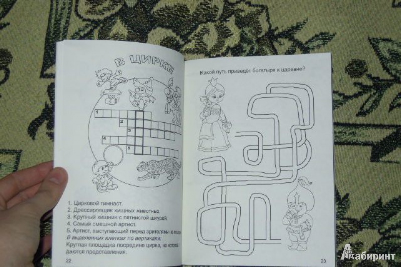 Иллюстрация 13 из 38 для Детские задачки и игры - Марина Дружинина | Лабиринт - книги. Источник: Iwolga