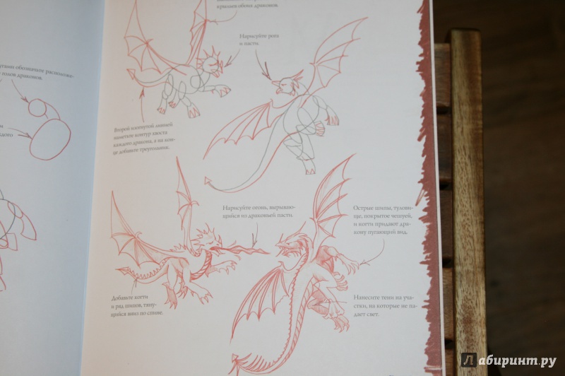 Иллюстрация 7 из 8 для Драконы - Марк Берджин | Лабиринт - книги. Источник: Кабанова  Ксения Викторовна