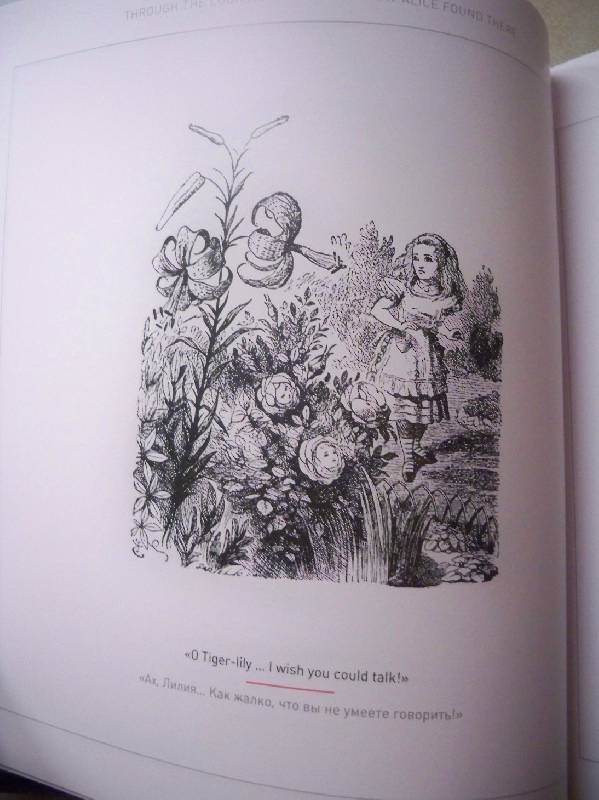 Иллюстрация 31 из 34 для Алиса в Зазеркалье. Гравюры Джона Тенниела | Лабиринт - книги. Источник: ЧК (Чеширский Кот)