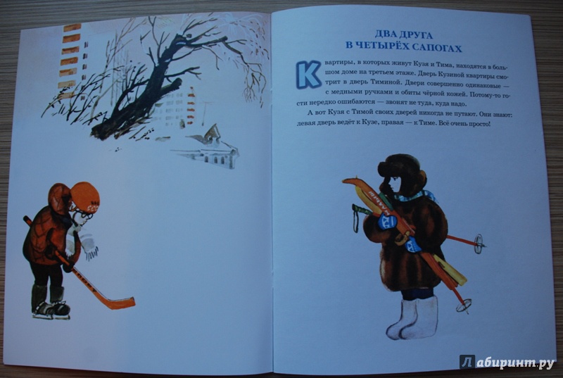 Иллюстрация 12 из 22 для Два сапога - пара - Владимир Разумневич | Лабиринт - книги. Источник: Книжный кот