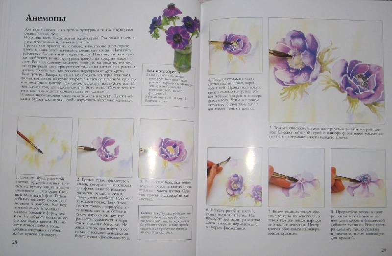Иллюстрация 4 из 19 для Рисуем цветы акварелью - Вэнди Тейт | Лабиринт - книги. Источник: Читательница
