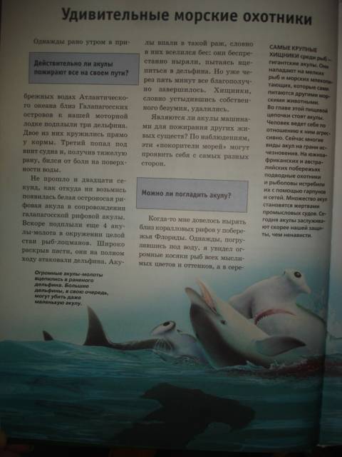 Иллюстрация 4 из 10 для Акулы и скаты - Витус Дрешер | Лабиринт - книги. Источник: Настёна