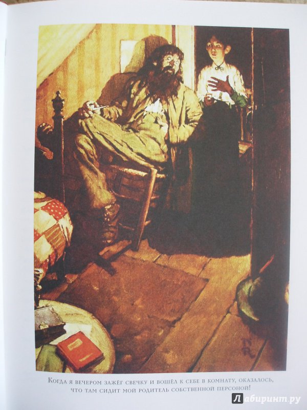 Иллюстрация 18 из 49 для Приключения Гекльберри Финна - Марк Твен | Лабиринт - книги. Источник: Короткая  Вера Николаевна