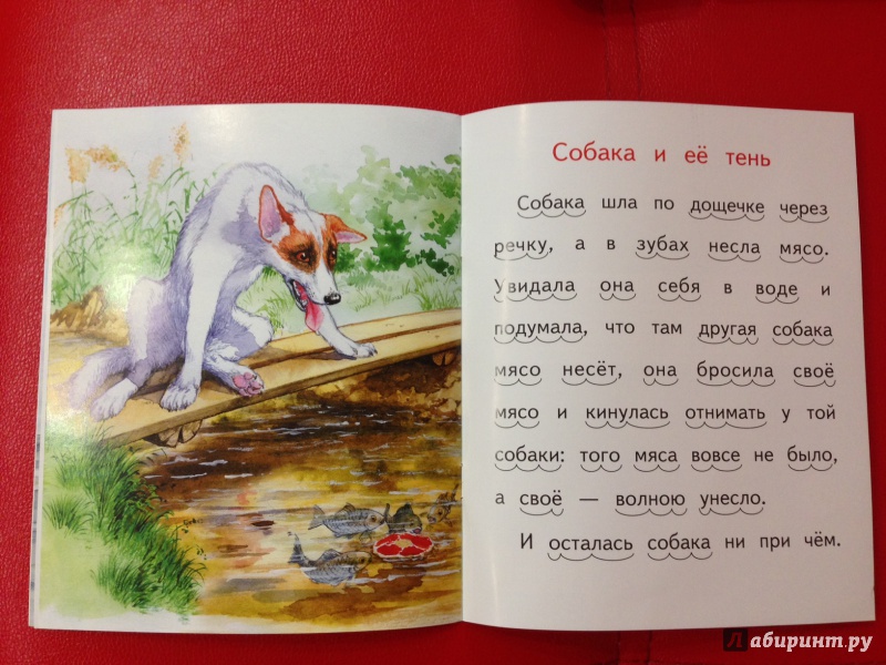 Иллюстрация 24 из 24 для Лев и мышь - Лев Толстой | Лабиринт - книги. Источник: М.  Наташа