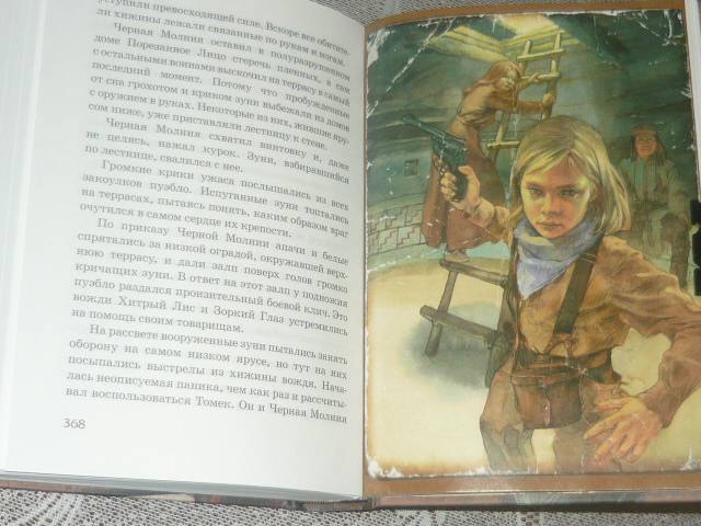 Иллюстрация 11 из 61 для Томек на тропе войны - Альфред Шклярский | Лабиринт - книги. Источник: Ромашка:-)
