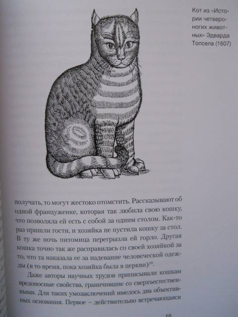 Иллюстрация 7 из 15 для Кошка - Кэтрин Роджерс | Лабиринт - книги. Источник: Leisured