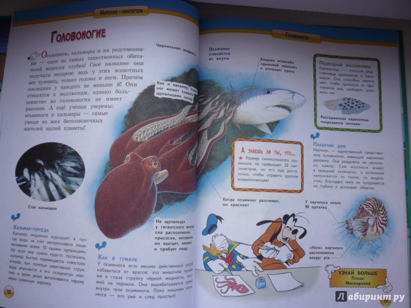 Иллюстрация 12 из 21 для Морские обитатели | Лабиринт - книги. Источник: Голубева  Евгения Олеговна