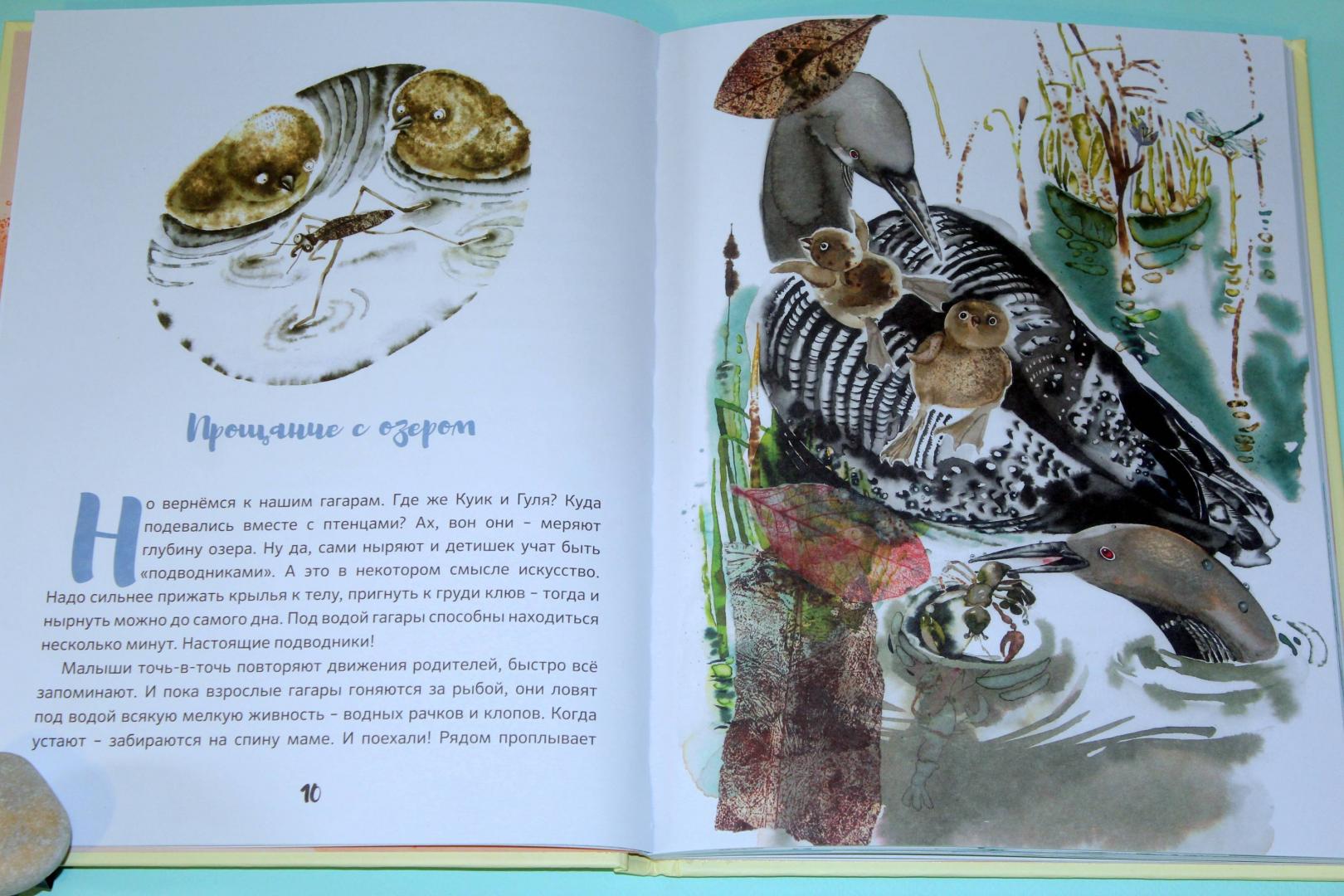 Иллюстрация 61 из 118 для Жила за морем Гагара - Валерий Кастрючин | Лабиринт - книги. Источник: Katerina