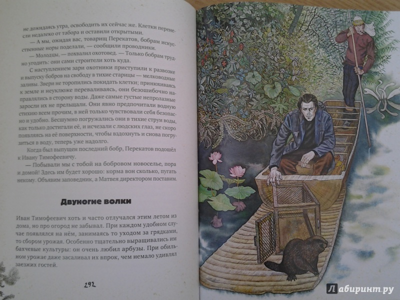 Иллюстрация 65 из 154 для Золотая Ригма - Всеволод Сысоев | Лабиринт - книги. Источник: Olga
