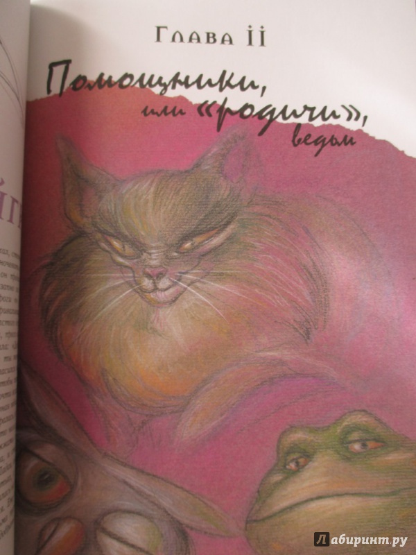 Иллюстрация 16 из 60 для Ведьмы. Магический мир - Рейнольдс, Моралес | Лабиринт - книги. Источник: Соня-А