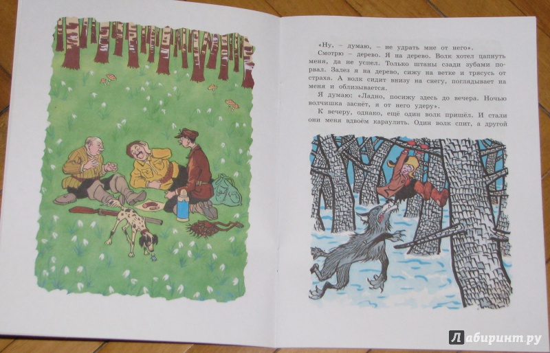 Иллюстрация 28 из 44 для Три охотника - Николай Носов | Лабиринт - книги. Источник: Штерн  Яна