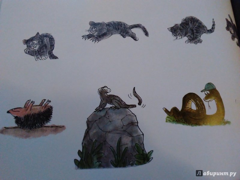 Иллюстрация 36 из 60 для Кот Крамер идет в лес - Меир Шалев | Лабиринт - книги. Источник: Ольга