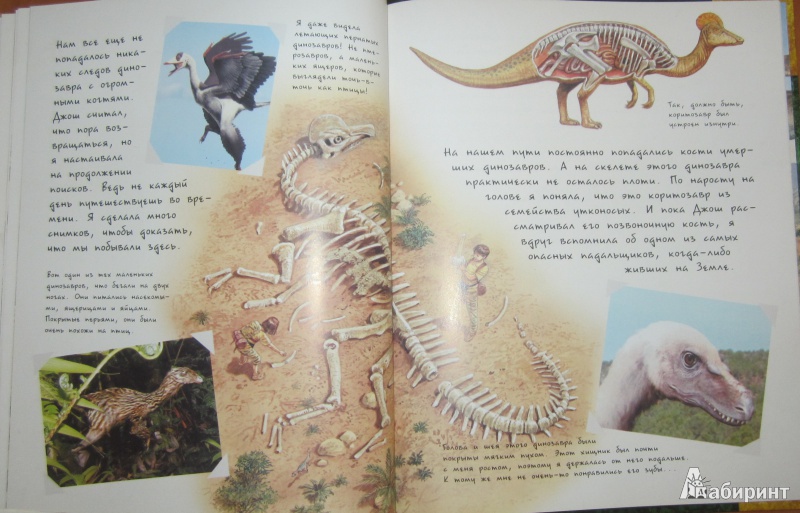Иллюстрация 25 из 47 для В поисках динозавра - Николас Харрис | Лабиринт - книги. Источник: ver-ira