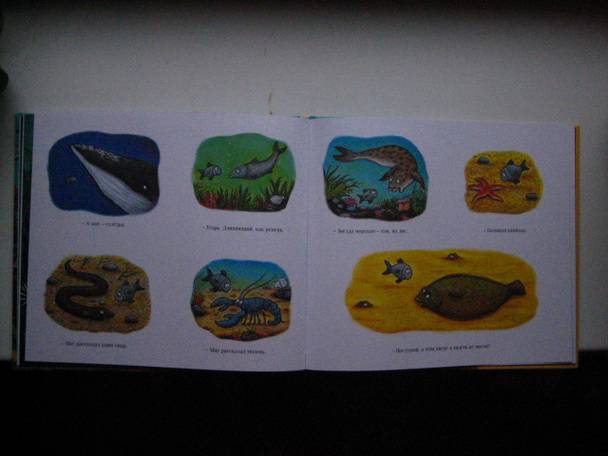 Иллюстрация 55 из 65 для Тюлька. Маленькая рыбка и большая выдумщица - Джулия Дональдсон | Лабиринт - книги. Источник: Протуберанец