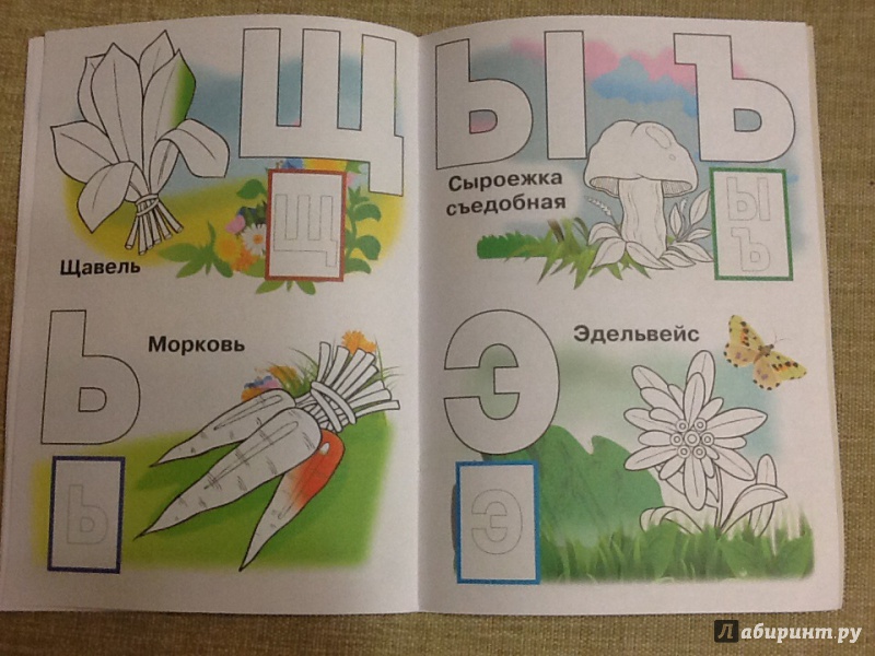 Иллюстрация 11 из 22 для Азбука с наклейками "Растения, овощи и фрукты" | Лабиринт - книги. Источник: Ya Katya