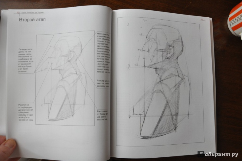 Иллюстрация 4 из 28 для Как рисовать голову человека и капитель. Пособие для поступающих в художественные вузы - Александр Рыжкин | Лабиринт - книги. Источник: Аблакотова  Надежда