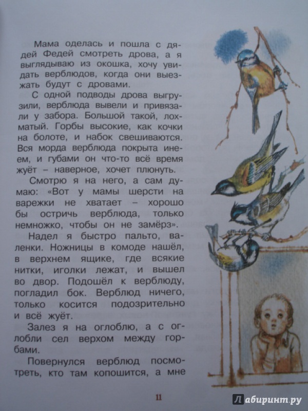 Иллюстрация 27 из 35 для Хитрый Бурундук - Геннадий Снегирев | Лабиринт - книги. Источник: Blackboard_Writer