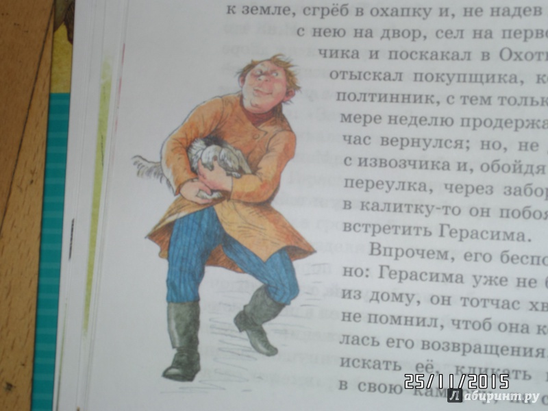 Иллюстрация 20 из 58 для Муму - Иван Тургенев | Лабиринт - книги. Источник: Зак  Елена Александровна