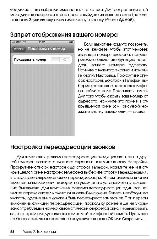 Иллюстрация 9 из 9 для iPhone по-русски. Модели 3G и 3GS. Все возможности - Жарий, Жарий | Лабиринт - книги. Источник: Joker
