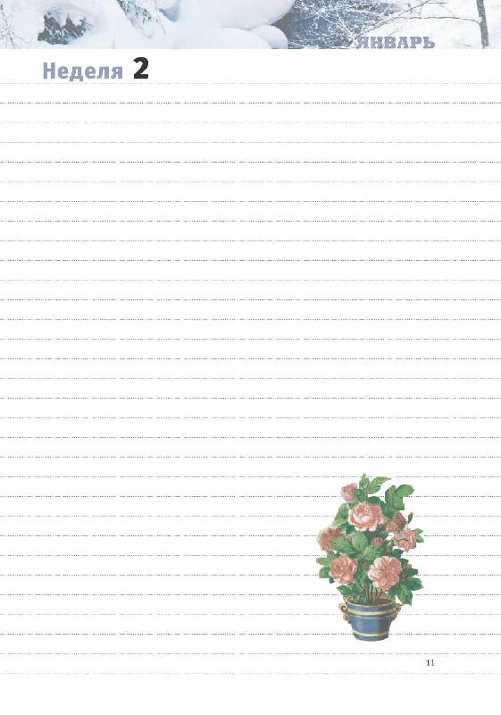 Иллюстрация 10 из 14 для Мои любимые цветы. Настольная книга практичного цветовода | Лабиринт - книги. Источник: Danon