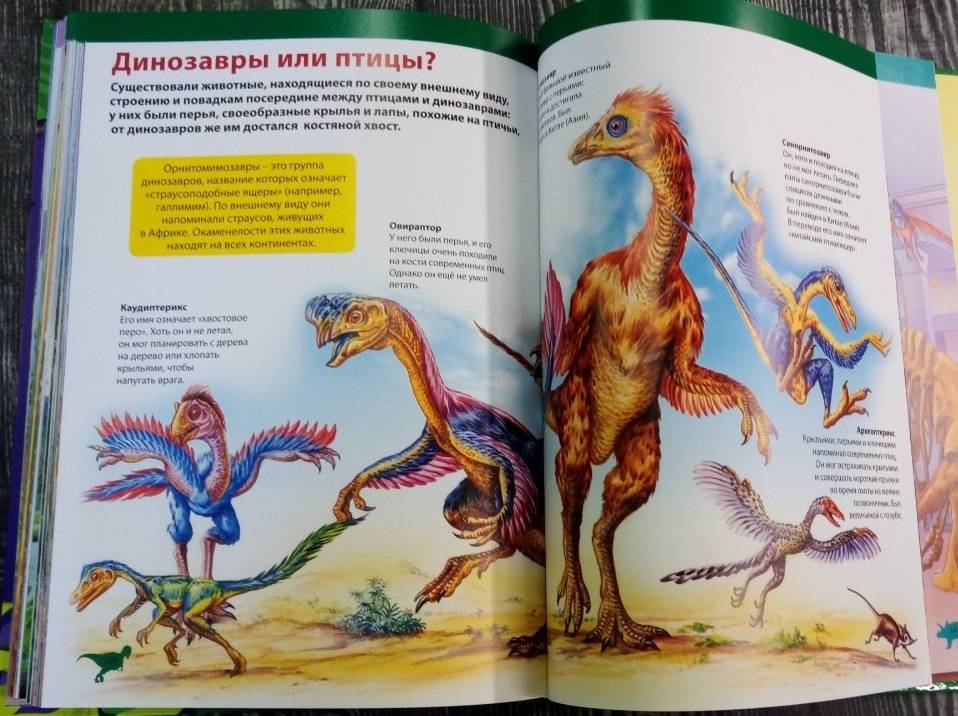 Иллюстрация 9 из 9 для Детская энциклопедия. Динозавры - Франциско Арредондо | Лабиринт - книги. Источник: ss0263042