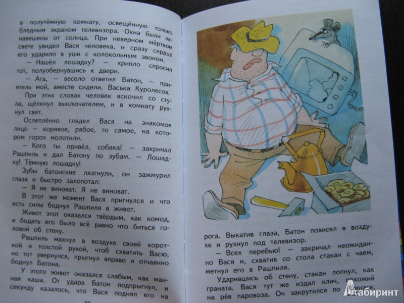 Иллюстрация 35 из 62 для Приключения Васи Куролесова - Юрий Коваль | Лабиринт - книги. Источник: Ольга