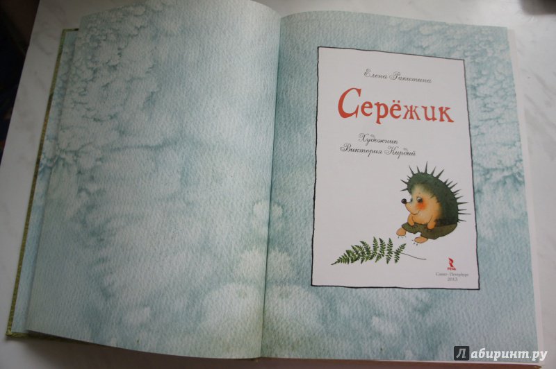 Иллюстрация 190 из 195 для Серёжик - Елена Ракитина | Лабиринт - книги. Источник: Дмитриева  Елена
