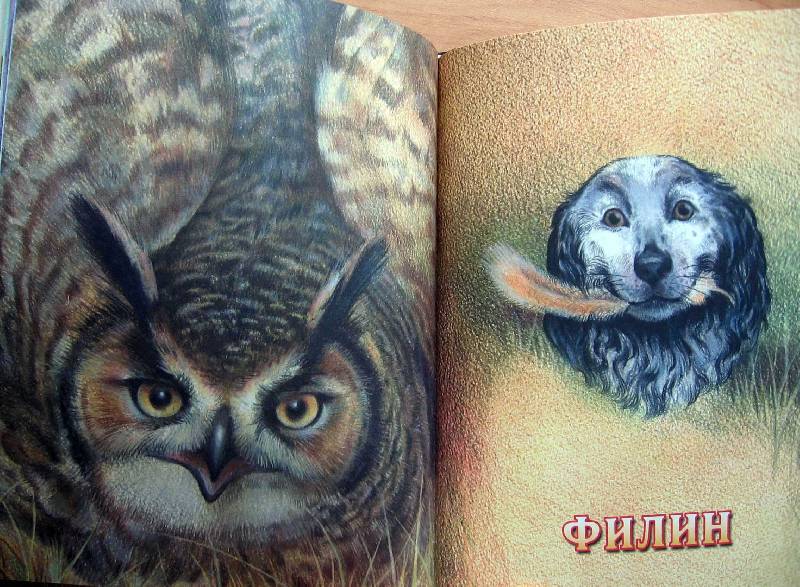 Иллюстрация 33 из 47 для Рассказы о животных - Михаил Пришвин | Лабиринт - книги. Источник: Red cat ;)