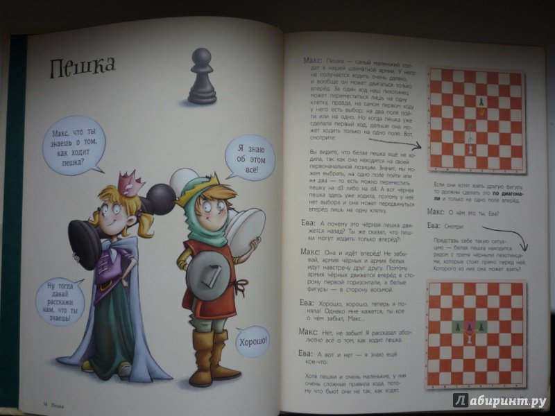 Иллюстрация 29 из 37 для Шахматы для детей - Сабрина Чеваннес | Лабиринт - книги. Источник: Голубева  Евгения Олеговна
