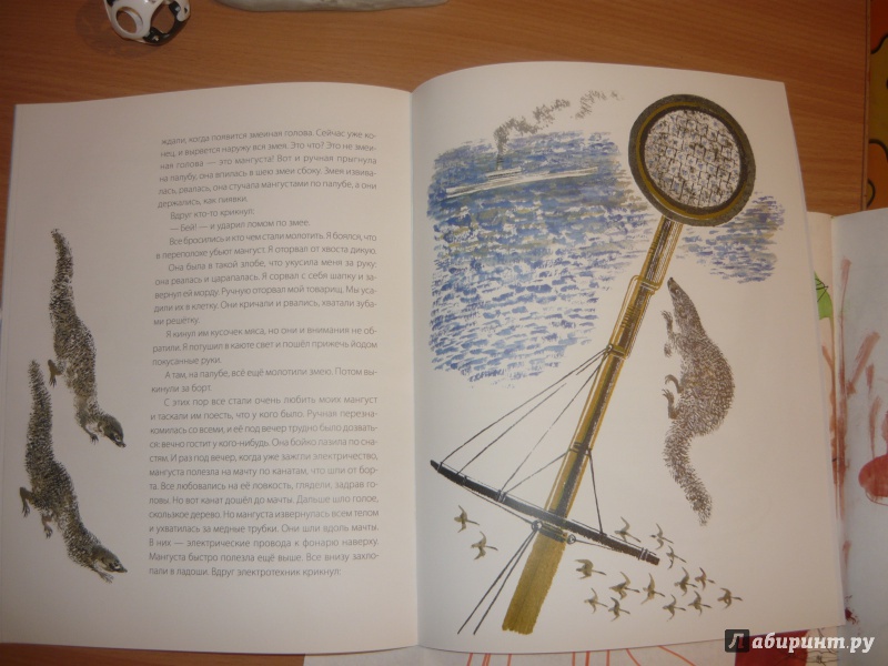 Иллюстрация 39 из 40 для Мангуста - Борис Житков | Лабиринт - книги. Источник: Костина  Наталья Алексеевна