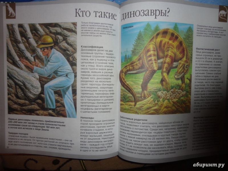 Иллюстрация 20 из 36 для Динозавры - Лора Камбурнак | Лабиринт - книги. Источник: Kristin