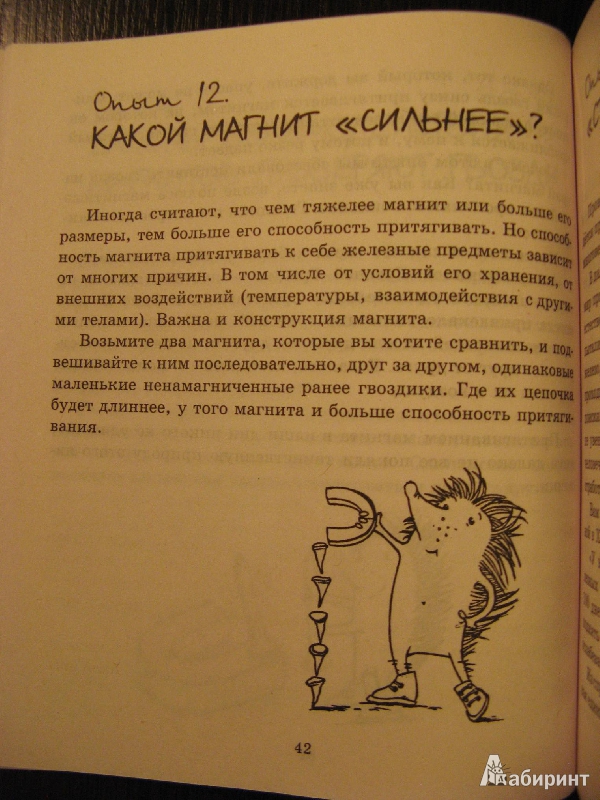 Иллюстрация 26 из 39 для Секреты знакомых предметов. Гвоздик. - Анатолий Шапиро | Лабиринт - книги. Источник: Ольга