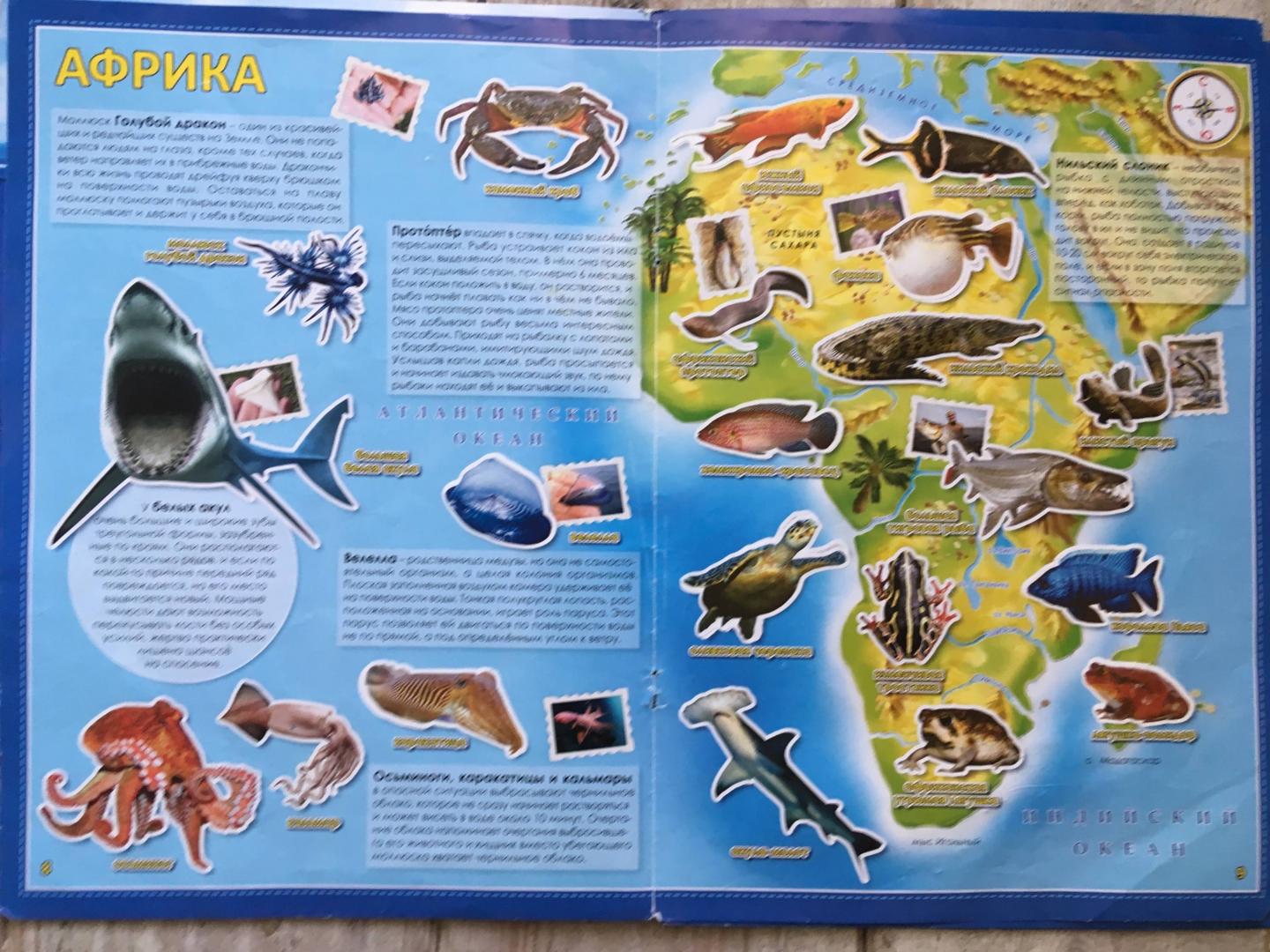 Иллюстрация 20 из 22 для Обитатели рек, морей и океанов. Атлас мира с наклейками | Лабиринт - книги. Источник: Лабиринт