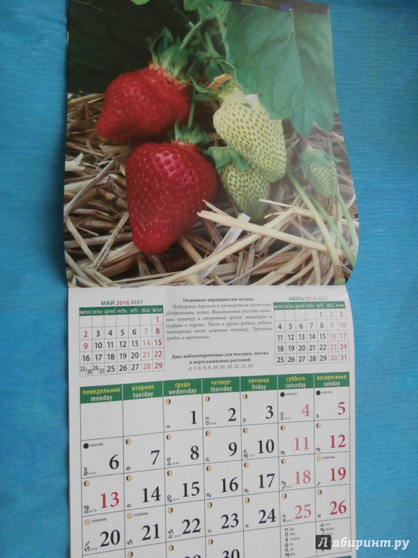 Иллюстрация 8 из 13 для Календарь на 2016.Лунный календарь садовода и огородника (45604) | Лабиринт - сувениры. Источник: Tiger.