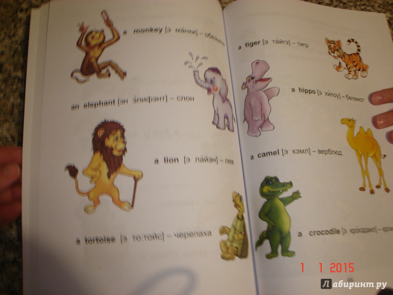 Иллюстрация 28 из 53 для Английский язык для малышей - Валерий Пронин | Лабиринт - книги. Источник: Дева НТ