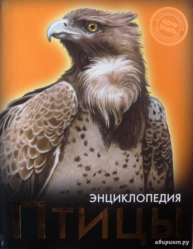 Иллюстрация 10 из 61 для Птицы | Лабиринт - книги. Источник: Соловьев  Владимир